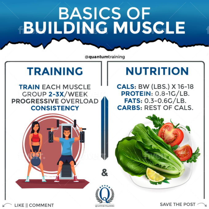 Info Fitness Health Nutrition on Instagram: 🔥Different Types Of Training  Sets🔥 - By (@thefitsolve) - - - -⁣⠀⠀⠀⠀⠀⠀⠀⠀⠀ #musclebuilding #buildmuscle  #pushpullle…