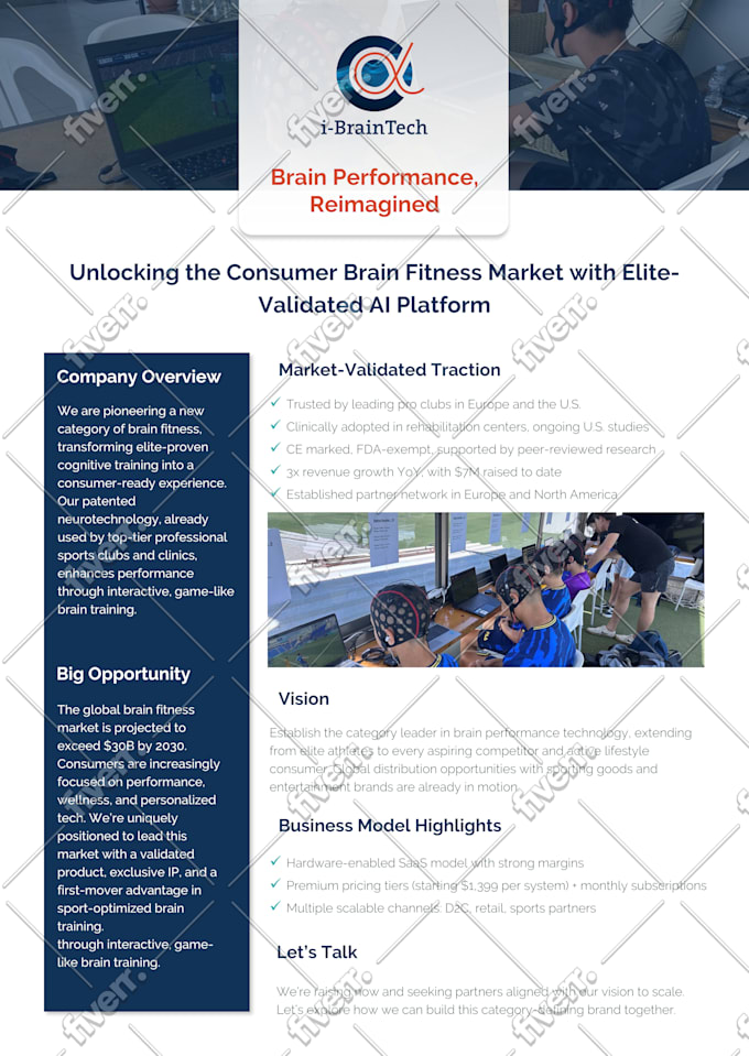 do an executive summary, one pager, corporate flyer, investor teaser, or report