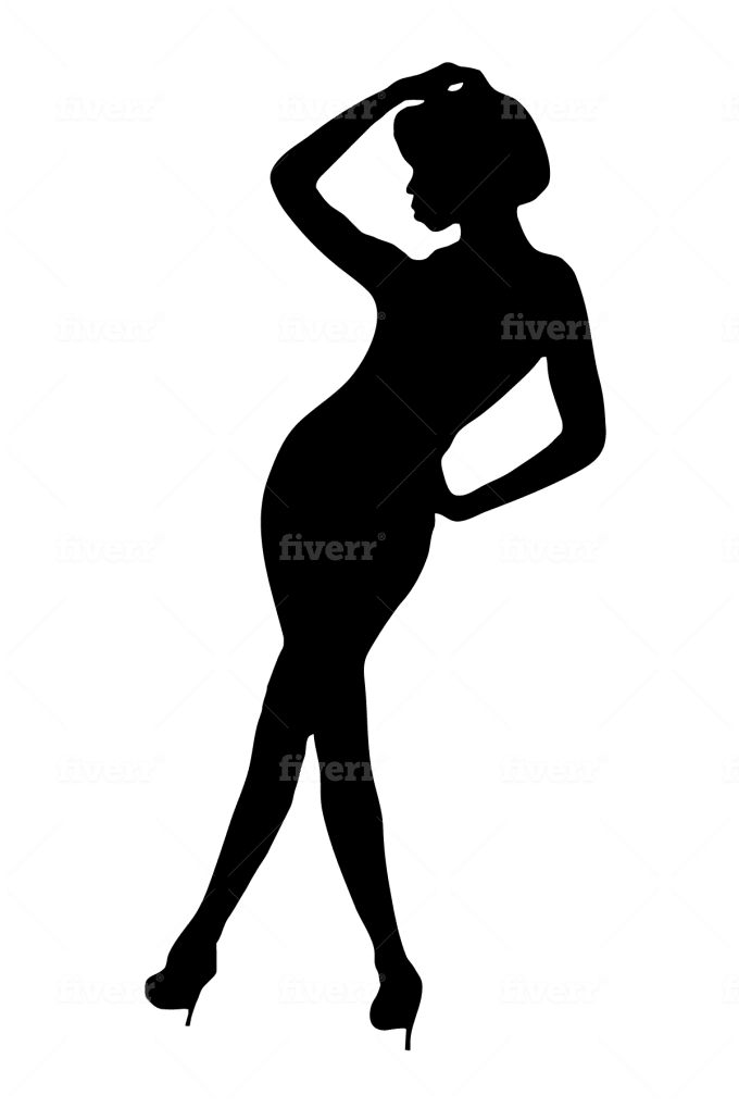 do ANY Silhouette in 24h vector
