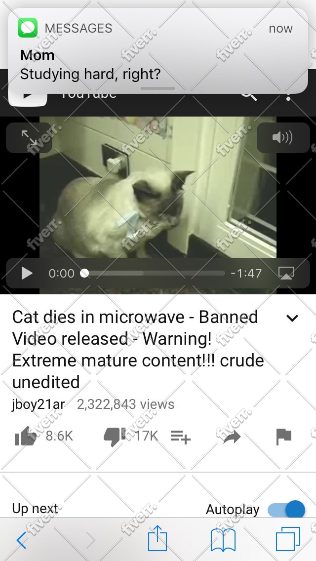 make you a minecraft parody