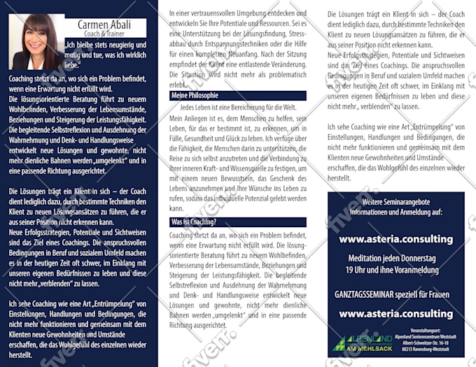 Design Flyer Brochure Banner Poster Billboard By Daniart