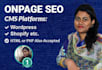 do advance onpage SEO for wordpress website