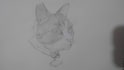 do you want a drawing made with graphite pencil