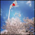 help you to travel japan cheap and flexible with 18 kippu