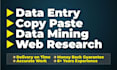 do excel data entry, data mining, data extraction and copy paste job