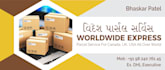 design amazing professional flyers , banner and posters