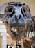 research issues relating to your dinosaur story or article