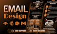 design premium custom HTML email template