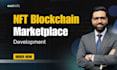 develop a blockchain or nft website and API integrations
