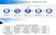 provide indian language translation  service
