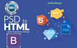 design responsive, front end website and webpage