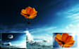 manipulate photo in photoshop