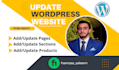 edit or update wordpress website