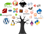 provide technical support on server