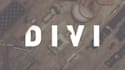 customize your website using divi,avada,be theme