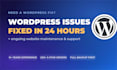 fix wordpress issues and do website maintenance