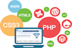 create a clone website as you required