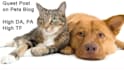 write guest post on dog pet cat website contextual backlinks for SEO high da DR