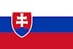 translate english into slovak language