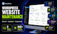 provide monthly wordpress website maintenance and support