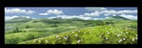 draw a wonderful animated background for a beautiful price
