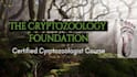 help you to become a certified cryptozoologist