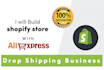 build a shopify store shopify website or dropshipping store