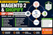 integrate magento 2 or shopify with netsuite, erp, CRM and apis