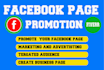 create impressive facebook business page or fan page