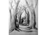 draw good quality pencil sketch for your project