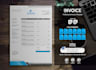 design the professional invoices