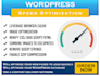 optimise your google page speed insights and gtmetrix score