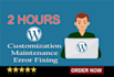 do 2 hours of wordpress customization and maintenance