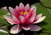 send a future psychic reading for 1, 3 or 6 months ahead