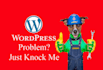 fix wordpress website issues or problems or errors