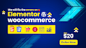 fix wordpress, elementor, woocommerce, divi, wpbakery HTML issues