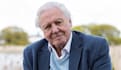 record your david attenborough style voice overs and narration