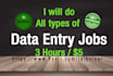 do perfect data entry, web research and copy paste