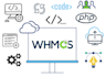 develop a whmcs module, addon, gateway, registrar, etc