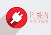 develop a wordpress plugin