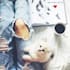provide you cat photos with quotes or without quotes