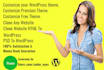 customize your wordpress premium theme