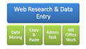 do internet research and data entry