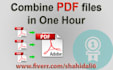 combine PDF in one hour
