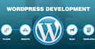 develop, customize and fix wordpress websites professionally