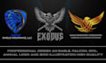 design an eagle, falcon, owl, animal logo and bird illustration high quality