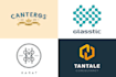 design a logo or brand identity