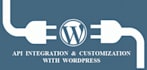 api integration in wordpress