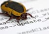 fix your bugs