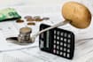help you in accounting on quickbooks and xero in 24 hours
